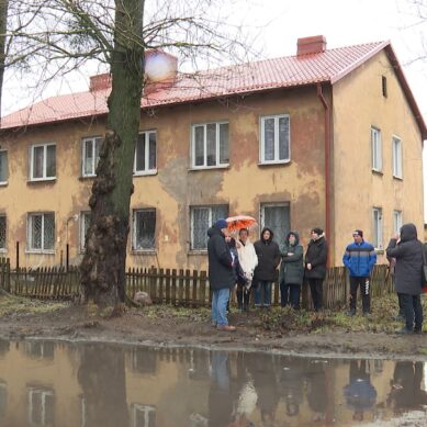 В Калининграде жителей многоквартирного дома могут заставить платить за поврежденную деревом машину