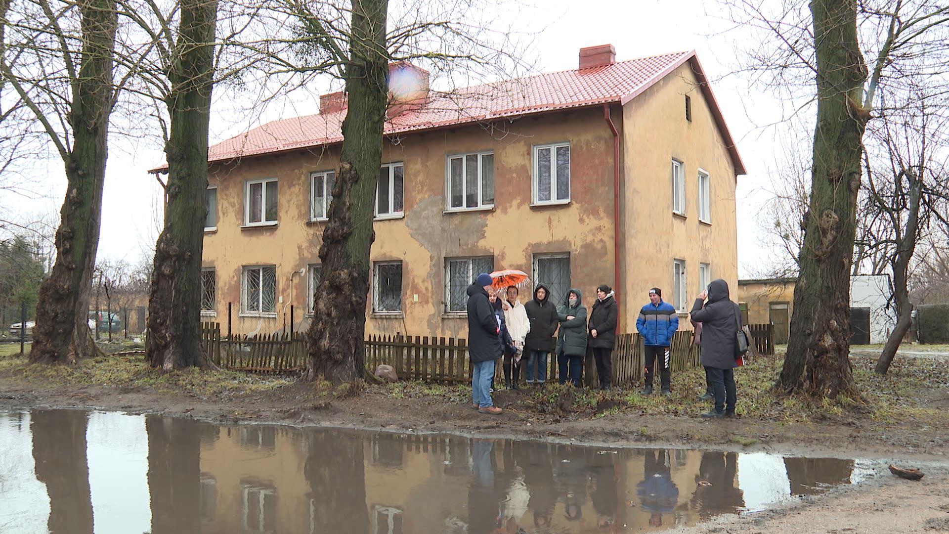 В Калининграде жителей многоквартирного дома могут заставить платить за  поврежденную деревом машину — Вести-Калининград