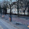 На Фестивальной аллее в Калининграде высадят 21 бук