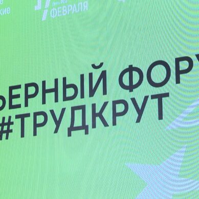 В Калининграде прошел Первый региональный карьерный форум «Труд крут»