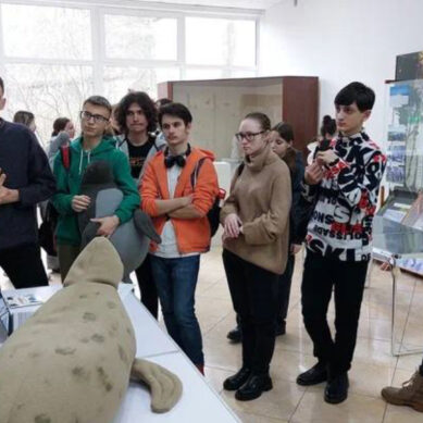 На Куршской косе отметили 17 февраля экологический праздник День тюленя