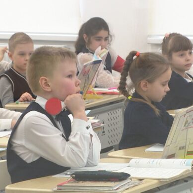 В Год семьи в Калининграде прошла региональная конференция «Навигация детства»