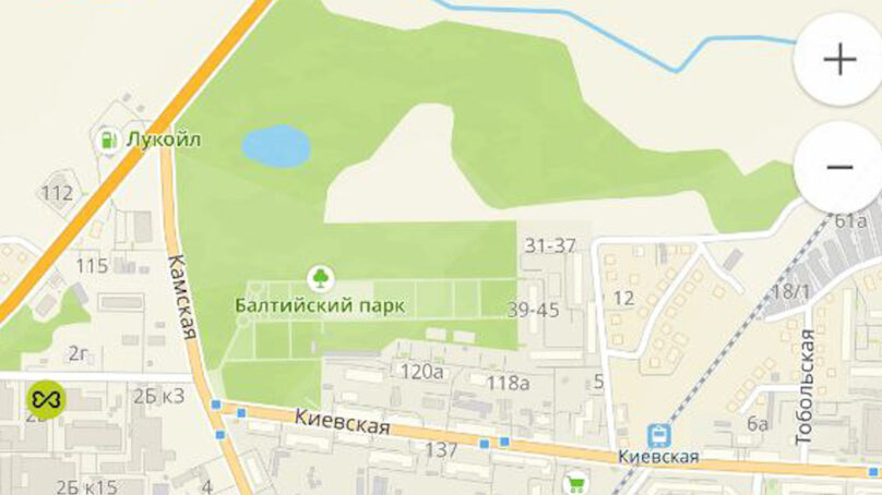Рядом с парком Ю. Гагарина в Калининграде разрешили вырубить 41 дерево