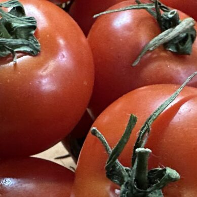 В Калининградскую область не пустили турецкие томаты