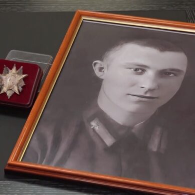 В Москве передали Орден Отечественной войны второй степени родственникам погибшего летчика