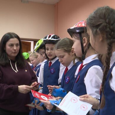 В Калининграде на базе «Станции юных техников» открылась школа «Безопасность в движении»