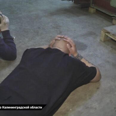 В Калининградской области перед судом предстанет «правая рука» экс-депутата Заксобрания Ивана Грибова, осуждённого по делу об экономических преступлениях