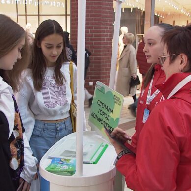 В Калининграде стартовало голосование по выбору общественной территории для благоустройства в 2025 году