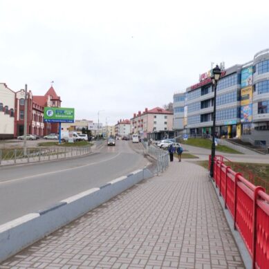 Жители Черняховского муниципального округа выбирают территорию, которую будут приводить в порядок в 2025 году
