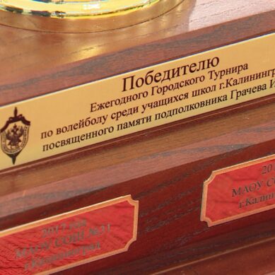 Второй раз подряд победителем в волейбольном турнире имени Грачёва стала команда 31-й школы