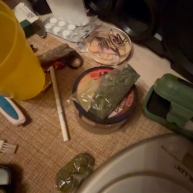 94 грамма наркотического вещества нашли дома у жительницы области