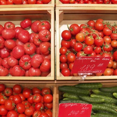 На прилавки торговых сетей Калининградской области начали поступать местные помидоры и огурцы