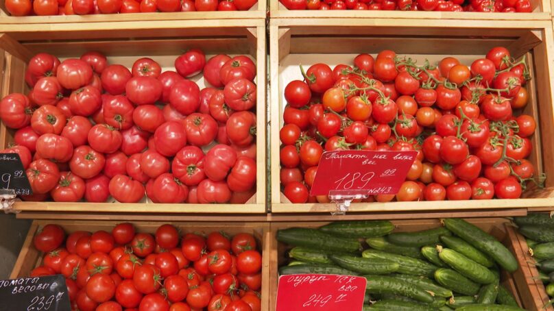 На прилавки торговых сетей Калининградской области начали поступать местные помидоры и огурцы