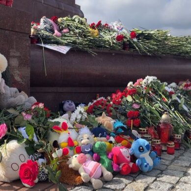Жители и гости Калининградской области застелили основание стелы на Площади Победы живыми цветами