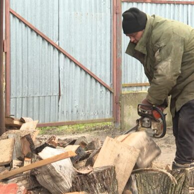 Жители посёлков Калининградской области второй год подряд не могут получить бесплатные дрова