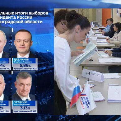 Более 85% жителей Калининградской области проголосовали за Владимира Путина
