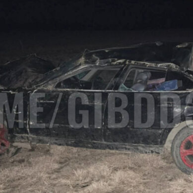 В Нестеровском районе водитель иномарки получил телесные повреждения