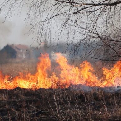 В Калининградской области ввели противопожарный режим