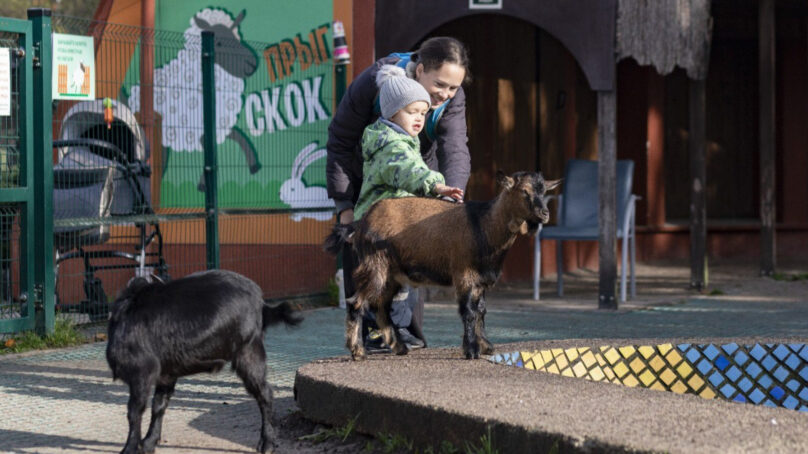 В калининградском зоопарке по многочисленным просьбам в выходные откроют для посещения контактную площадку «Прыг-Скок»