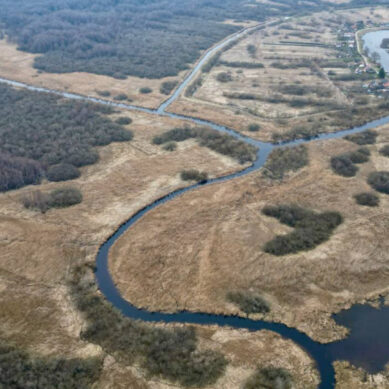 После расчистки ширина русла реки Промысловой увеличится до 22 метров, а местами – до 40