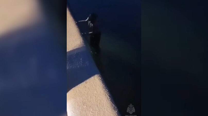 В Калининградской области очередного «любителя зимнего плавания» спасли сотрудники МЧС