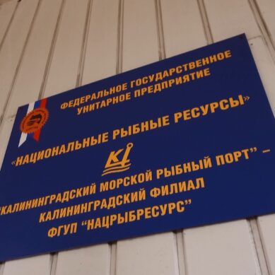 В Калининграде бывшего директора морского рыбного порта обвиняют в превышении должностных полномочий