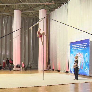 В Калининграде прошёл открытый чемпионат области по пилонному спорту и воздушной гимнастике