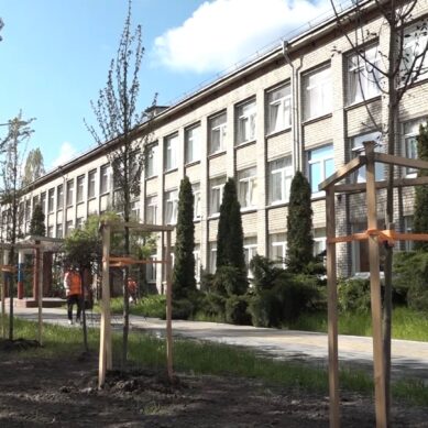 Сразу 10 новых образовательных учреждений по плану должны возвести в этом году в Калининградской области