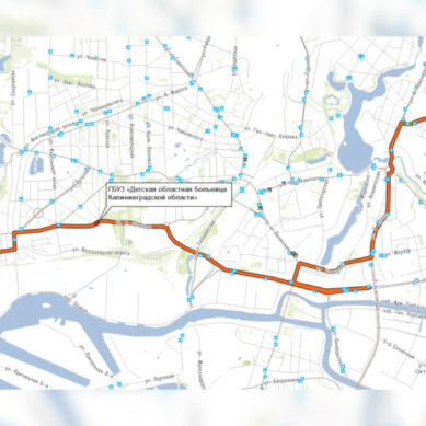 Власти Калининграда предлагают вернуть 93-й маршрут общественного транспорта