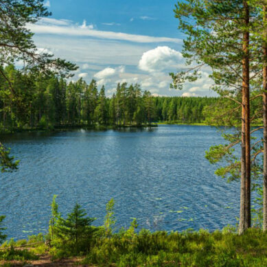 Природный парк «Виштынецкий» получит статус национального парка