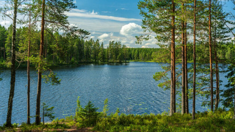 Природный парк «Виштынецкий» получит статус национального парка