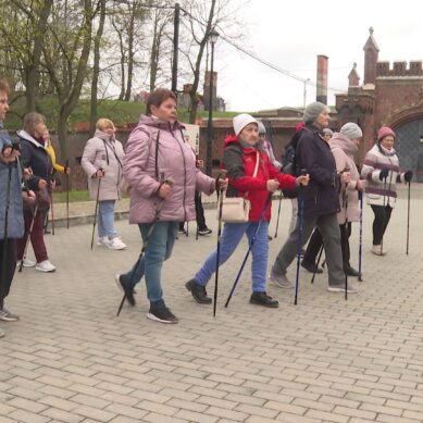 В Калининграде около 2 тысяч человек присоединились к акции во Всемирный день здоровья