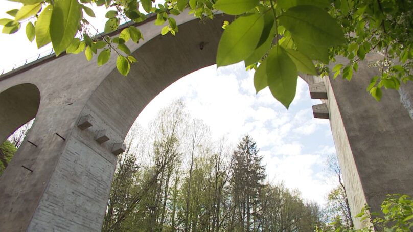 Состоялся первый тестовый заезд пригородного поезда в Краснолесье 