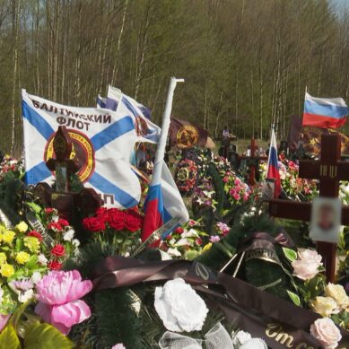В Калининградской области будут судить человека, который решил нажиться на горе семьи участника СВО