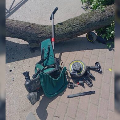 В Черняховске сегодня дерево упало на 2-летнего ребенка