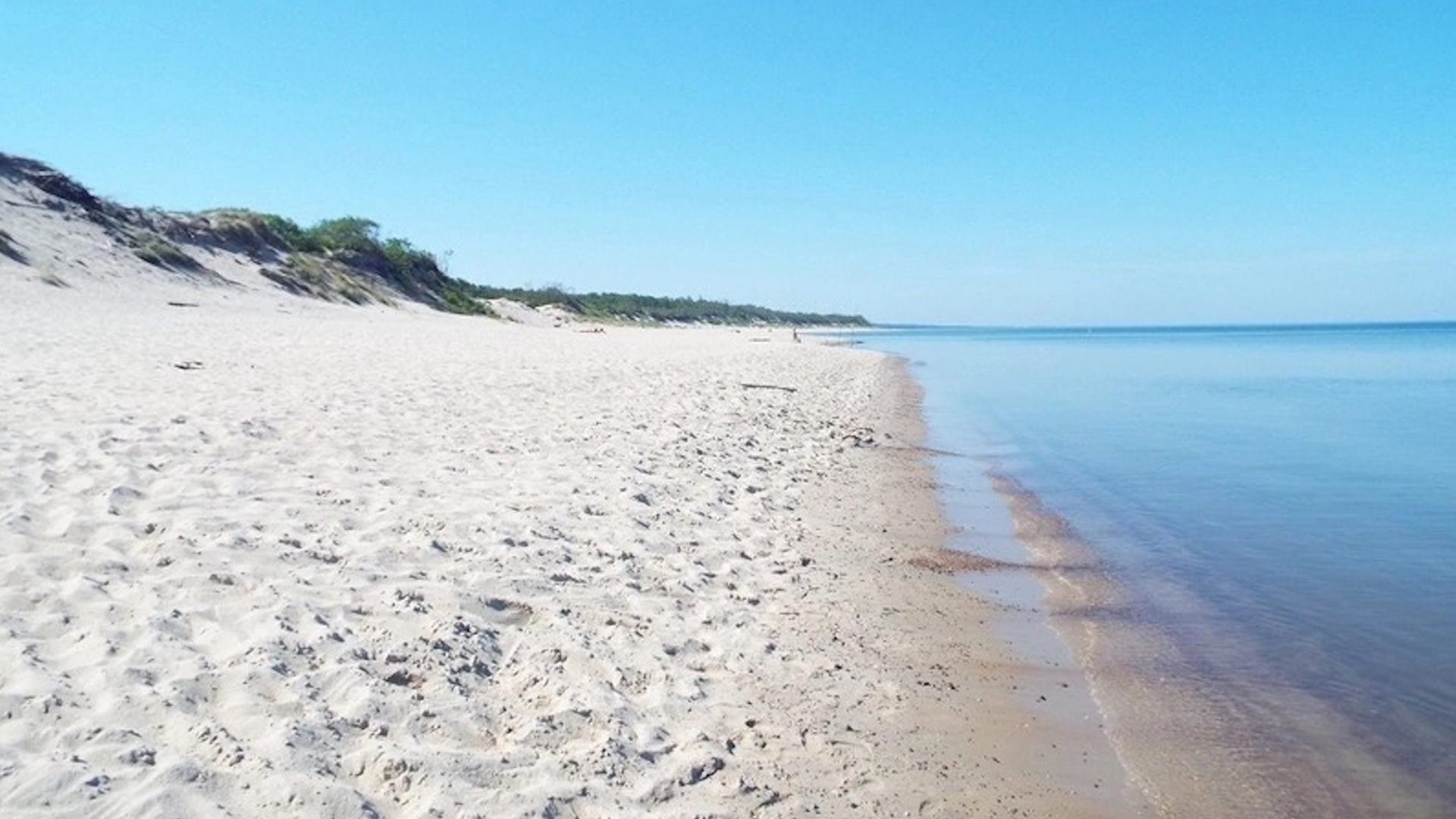 Актуальная температура воды в Балтийском море и заливах — Вести-Калининград