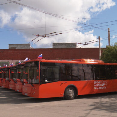 В Калининграде автобусы марки ЛиАЗ вышли на городские улицы