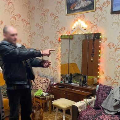 Житель Калининграда предстанет перед судом по обвинению в покушении на убийство брата