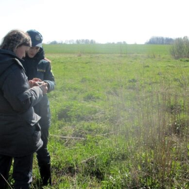 Россельхознадзор совместно с МЧС провели рейды по сельскохозяйственным землям Балтийского округа