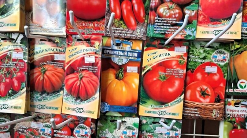В Калининградской области выявлена незаконная продажа семян овощных культур и посадочных материалов