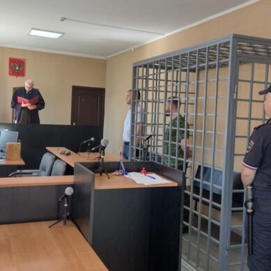 Житель Зеленоградского района признан виновным в применении насилия к представителю власти