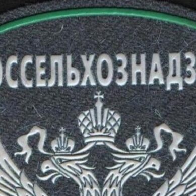 Мониторинговой группой Управления Россельхознадзора по Калининградской области в апреле было выявлено 74 нарушения