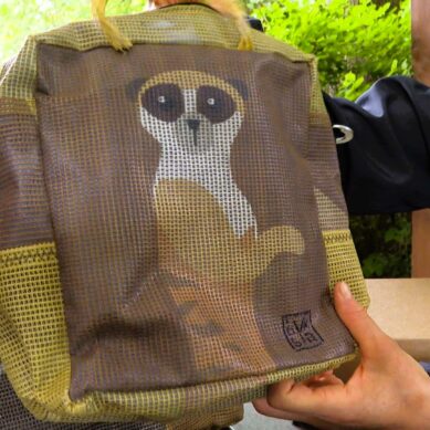 В калининградском зоопарке появятся экологичные сувениры из переработанного сырья
