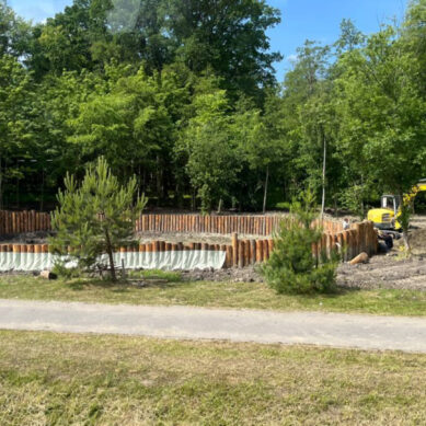 В посёлке Сосновка под Зеленоградском новый облик приобретёт небольшое озеро рядом с лесным массивом