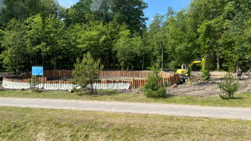 В посёлке Сосновка под Зеленоградском новый облик приобретёт небольшое озеро рядом с лесным массивом