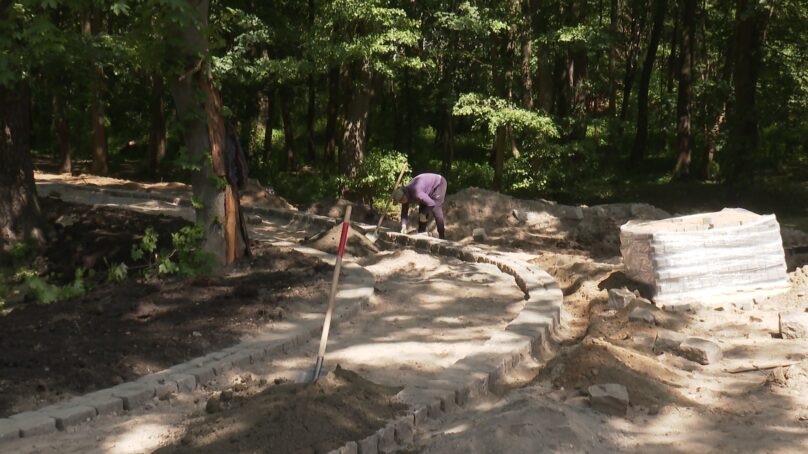 В Ашманн-парке в Калининграде возобновились работы по благоустройству