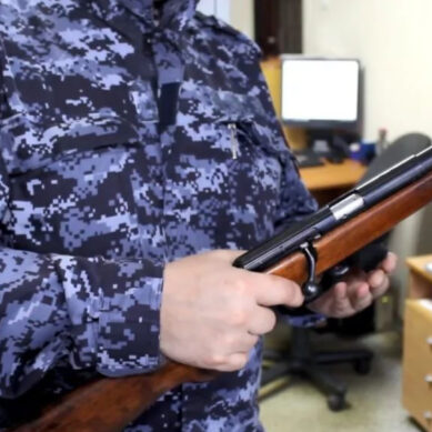 С начала года сотрудники Росгвардии изъяли 174 единицы оружия у калининградцев