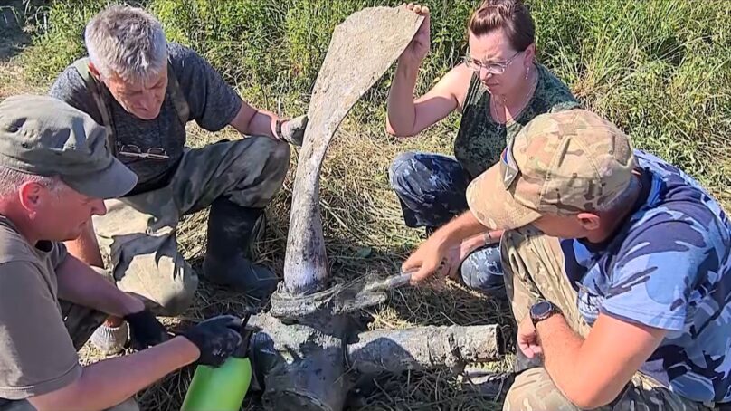 В Мамоновском округе поисковики отряда «Совесть» подняли из земли обломки советского истребителя-бомбардировщика Як-9