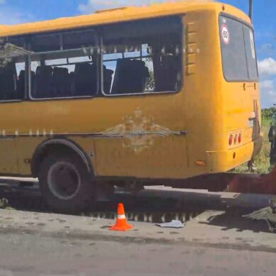 Вблизи посёлка Волошино в Зеленоградском районе случилось ДТП с участием автобуса, в котором находились дети