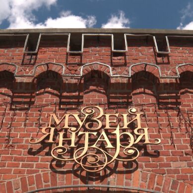 День янтаря отметили в Калининграде. В Музее янтаря по этому случаю посетителям представили уникальный экспонат